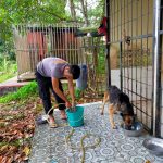 PERAWATAN SATWA K9