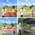 Bhabinkamtibmas Polsek Lumar Berikan Himbauan & Monitoring Penyakit Pada Ternak (PMK)